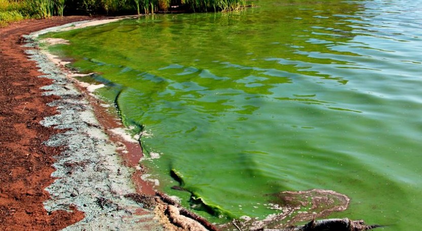 El agua envenenada